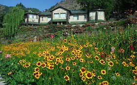 Shervani Hilltop Hotel Nainital